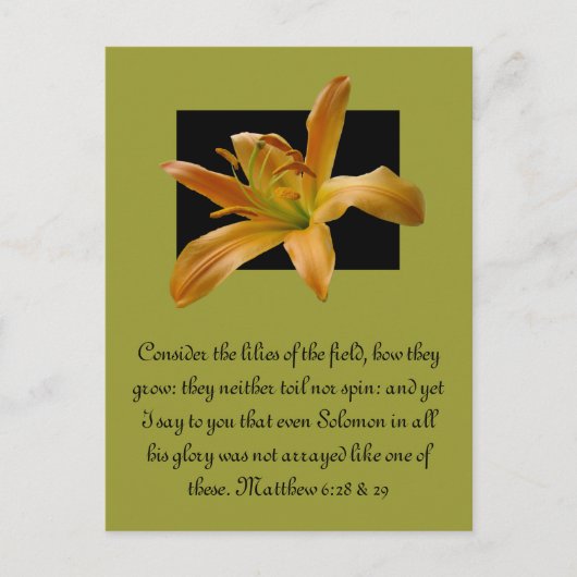 ラリーズオレンジリリー ポストカード (正面)