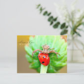 ラリーヴェドゥラプロエ ポストカード (スタンド正面)