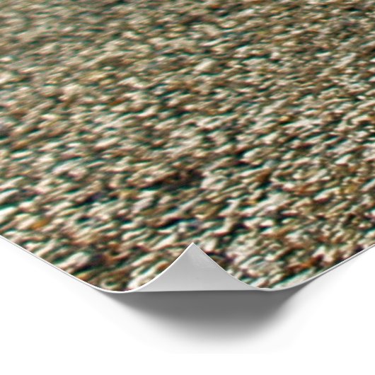 ラリー準備 ポスター (角)