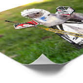 ラリー・ゴアリーのポスター ポスター (角)