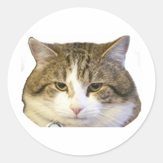 ラリー・ザ・ダウニング通りキャット顔 ラウンドシール (正面)