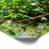 ラリー・フィエロ ポスター (角)