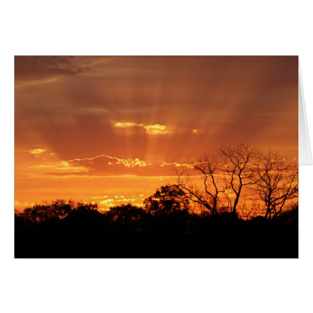 ラリーCoressel著"天空の日没" (正面横)