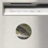 ラルゲムース・ベース マグネット (インサイチュ (食洗機))