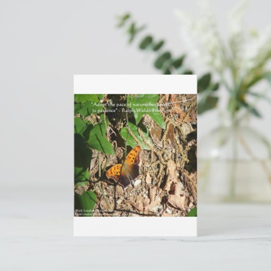 ラルフWエマーソン"自然のペース"知恵の引用文ギフト ポストカード (スタンド正面)