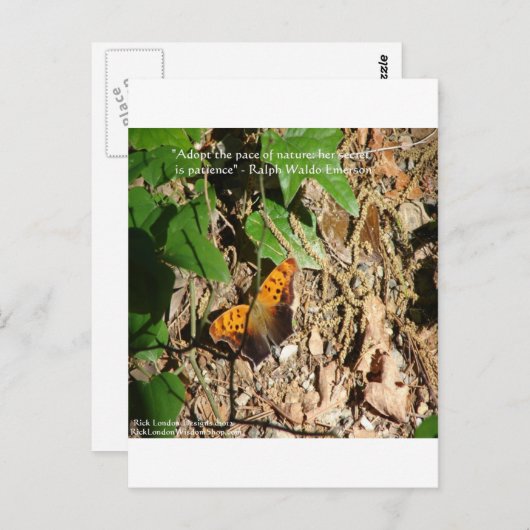 ラルフWエマーソン"自然のペース"知恵の引用文ギフト ポストカード (正面/裏面)