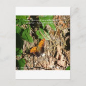 ラルフWエマーソン"自然のペース"知恵の引用文ギフト ポストカード (正面)