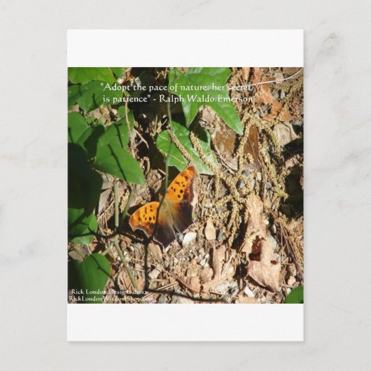 ラルフWエマーソン"自然のペース"知恵の引用文ギフト ポストカード (正面)