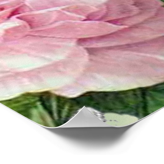 ラレトルダモア ポスター (角)