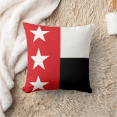 ラレド国旗(テキサス州) クッション (ブランケット)