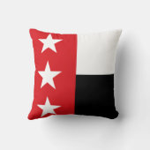 ラレド国旗(テキサス州) クッション (裏面)