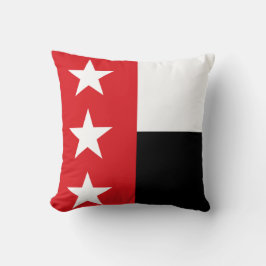ラレド国旗(テキサス州) クッション