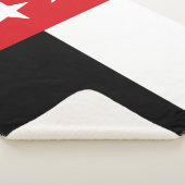 ラレド国旗(テキサス州) シェルパブランケット (3/4)