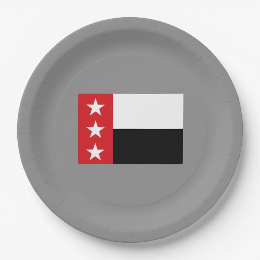 ラレド国旗(テキサス州) ペーパープレート (正面)