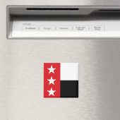 ラレド国旗(テキサス州) マグネット (インサイチュ (食洗機))