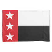 ラレド国旗(テキサス州) 枕カバー (正面右)