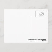 ラロシェル – ウィンターズデー ポストカード (裏面)