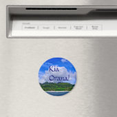 ラロトンガ磁石 マグネット (インサイチュ (食洗機))