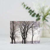 ラロンデ ポストカード (スタンド正面)