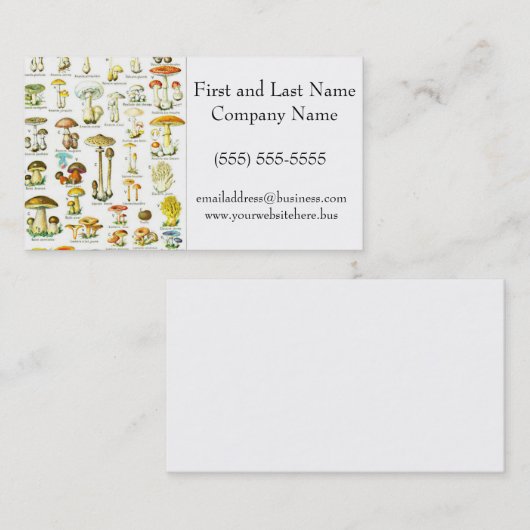 ラロースキノコ真菌自然アート絵画ズ 名刺 (正面/裏面)