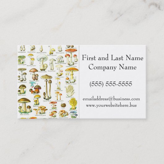 ラロースキノコ真菌自然アート絵画ズ 名刺 (正面)