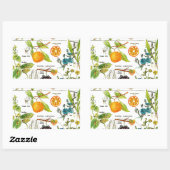 ラローズフルーツオレンジナシグレープガーデン自然アート 長方形シール (シート)