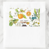 ラローズフルーツオレンジナシグレープガーデン自然アート 長方形シール (バッグ)