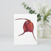 ランいけな ポストカード (スタンド正面)