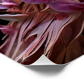 ランとシュールレアル・スワンズ ポスター (コーナー)