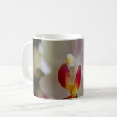 ランのハレノプシス コーヒーマグカップ (正面左)