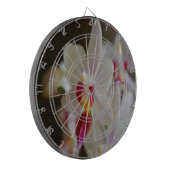 ランのハレノプシス ダーツボード (正面左)