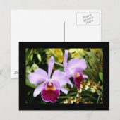 ランのペア ポストカード (正面/裏面)