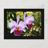 ランのペア ポストカード (正面)