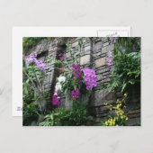 ランの壁 ポストカード (正面/裏面)