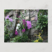 ランの壁 ポストカード (正面)
