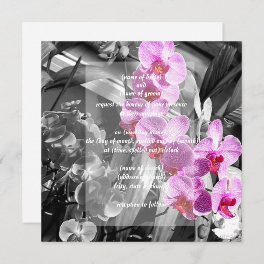 ランの招待 招待状 (正面/裏面)