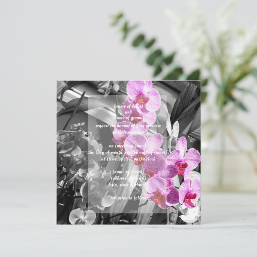 ランの招待 招待状 (スタンド正面)