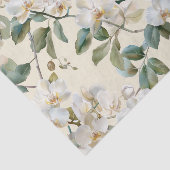 ランの白パレノプシス 薄葉紙 (詳細)