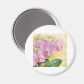 ランの花の花のPhalenopsis 数々の - マグネット (正面/裏面)
