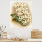 ランの花びら症 ポスター (キッチン)