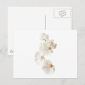 ランの花 ポストカード (正面/裏面)