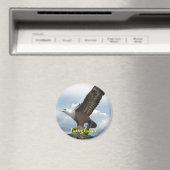 ランカウイワシ マグネット (インサイチュ (食洗機))