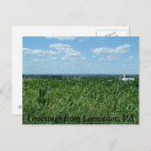 ランカスターのフィールド、ランカスターからの挨拶、PA ポストカード (正面/裏面)
