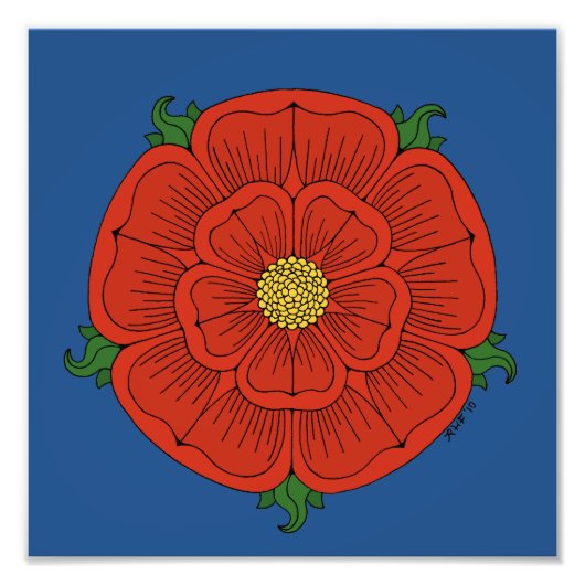 ランカスターのレッドローズ フォトプリント            (正面)