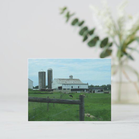 ランカスターカウンティファーム ポストカード (スタンド正面)