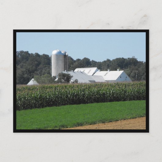 ~ランカスター郡の夏~ 70 ポストカード (正面)