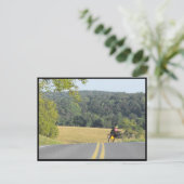 ~ランカスター郡の秋~ 63 ポストカード (スタンド正面)