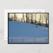 ランカスター郡の～冬6 ポストカード (正面/裏面)