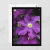 ランカスター郡の~夏~ 39 ポストカード (正面/裏面)