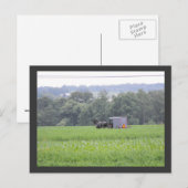 ランカスター郡の～夏～ 6 ポストカード (正面/裏面)